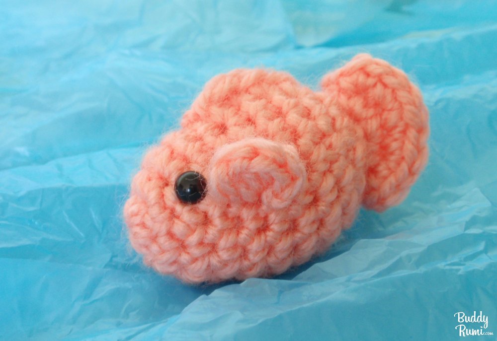 Free Amigurumi Pattern: Little Fish — BuddyRumi Amigurumi Crochet Patterns