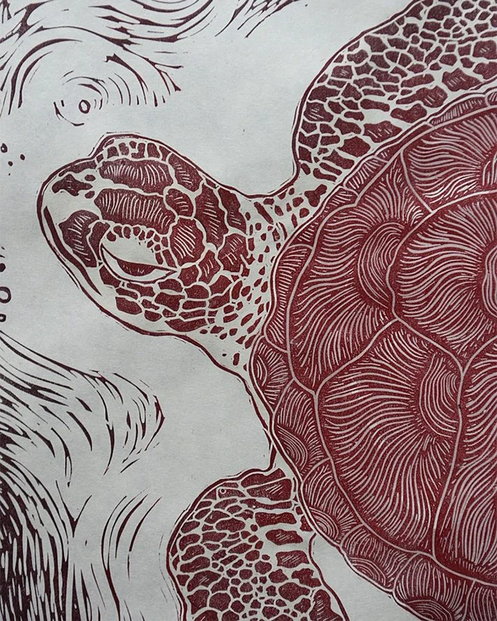 sea_turtle_close.jpg