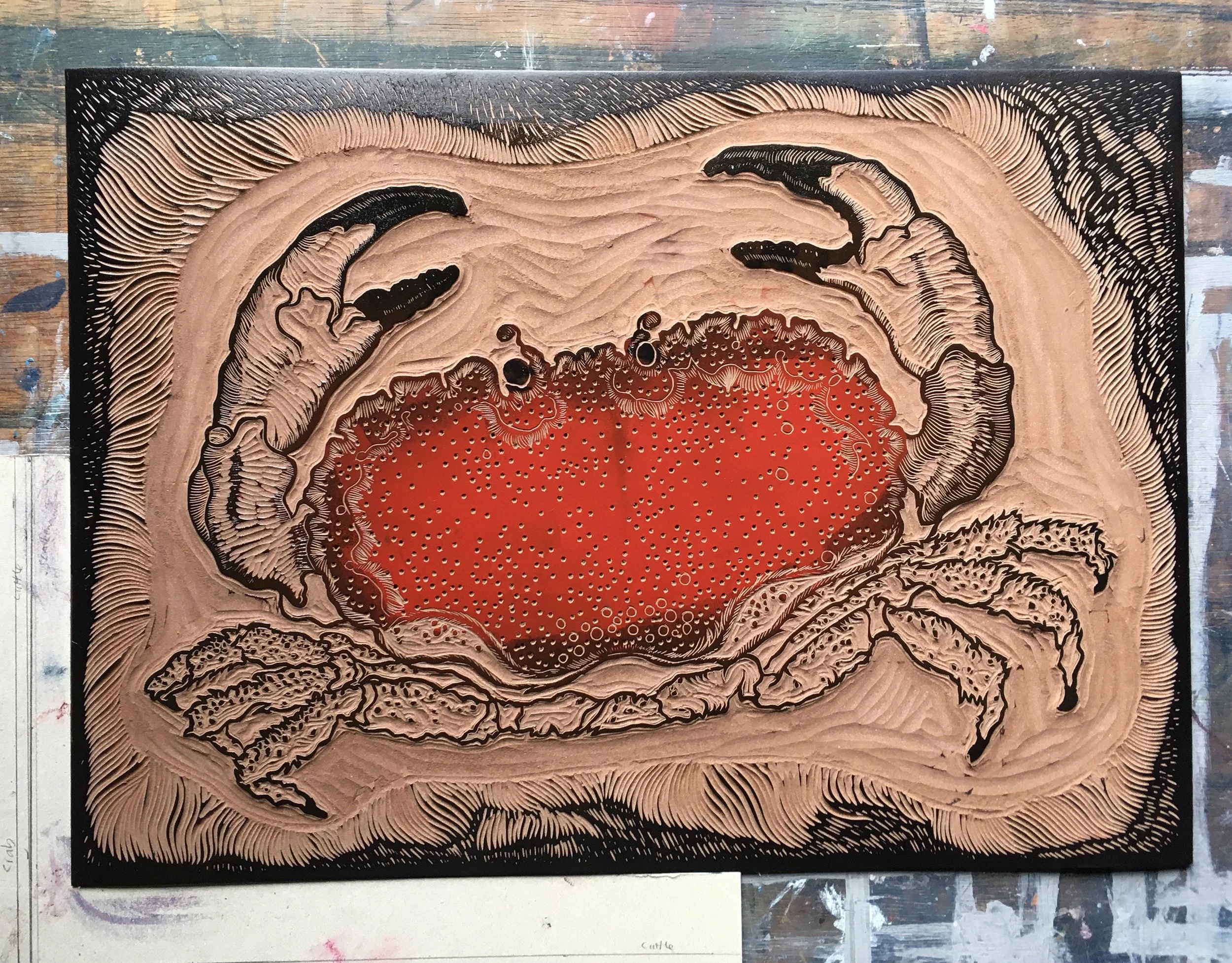 South_Devon_Crab_Colour.jpg