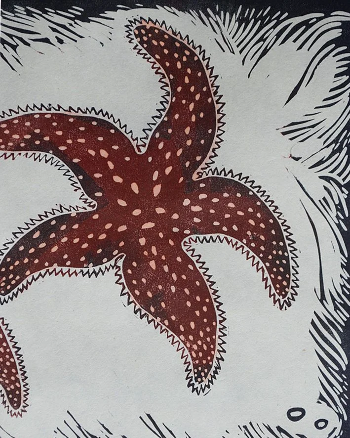 starfish_close.jpg