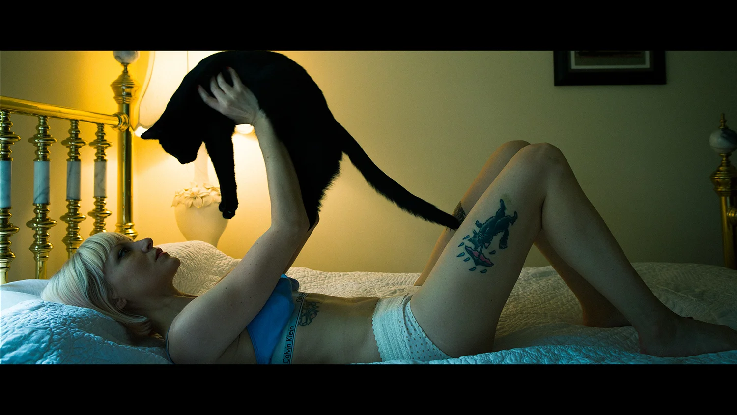 My cats were my best friends. We would wake up, make breakfast, then read books together in the patches of sun that filtered through the windows. We watched TV together at night. I had my tea in the backyard with the cats while they chased bugs. Then we’d go to sleep, and do it all over again for 730 days.