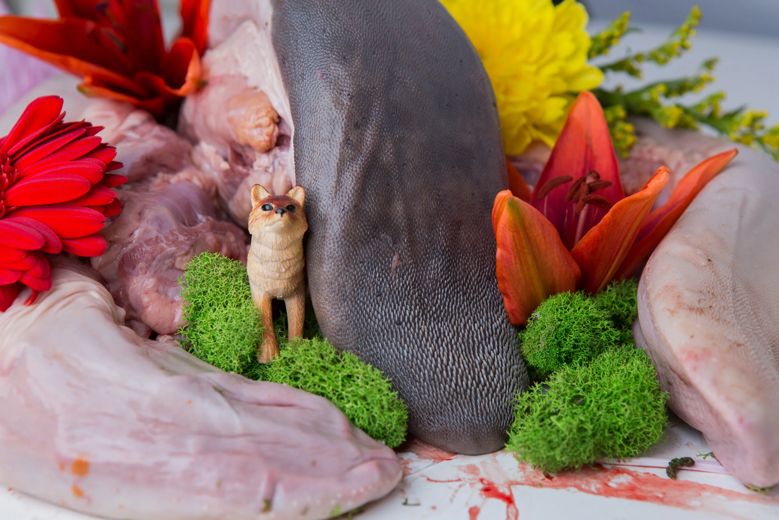 Savana Meat_1O3A1454.jpg