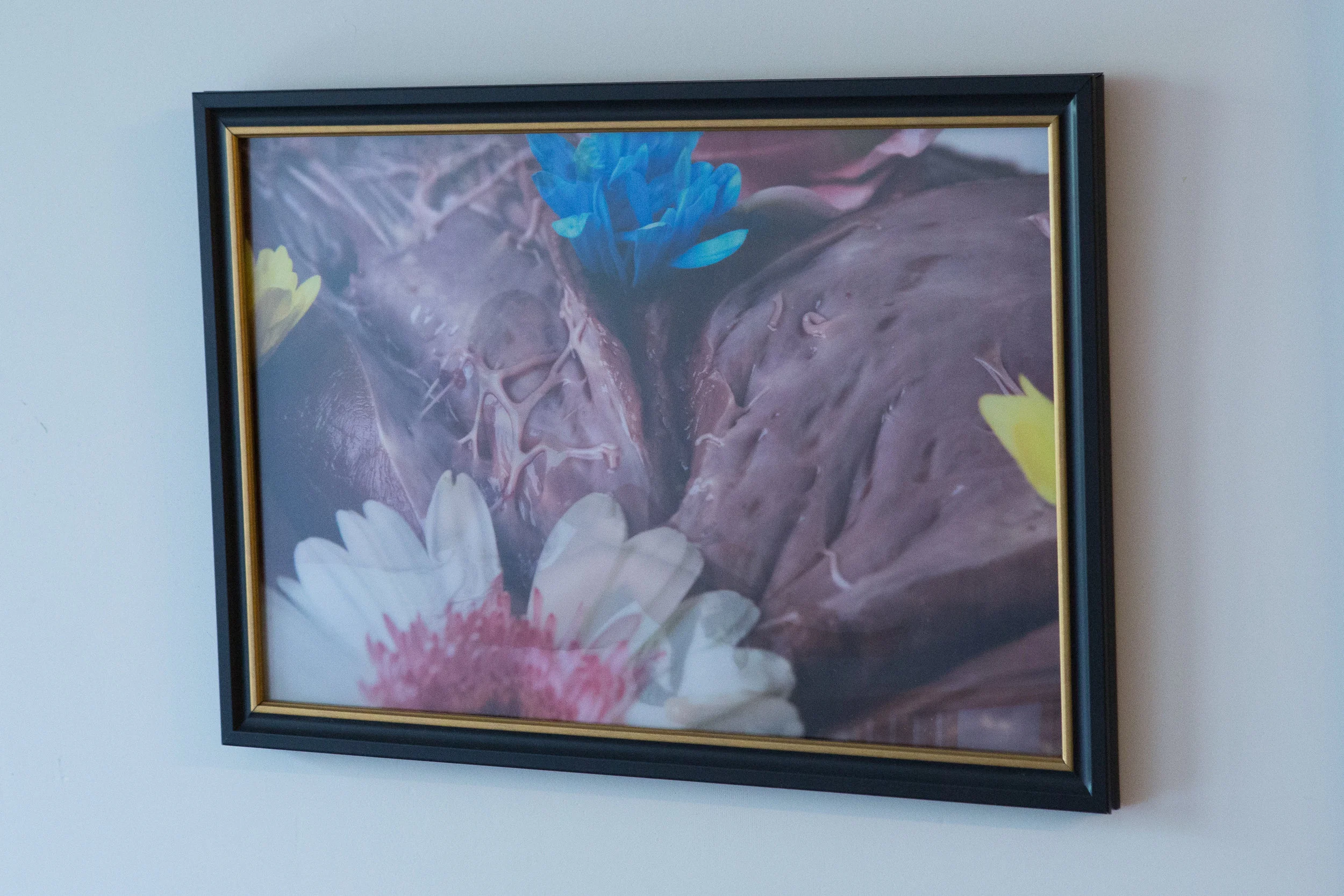 Rikki_lenticular_16x24_meat.jpg