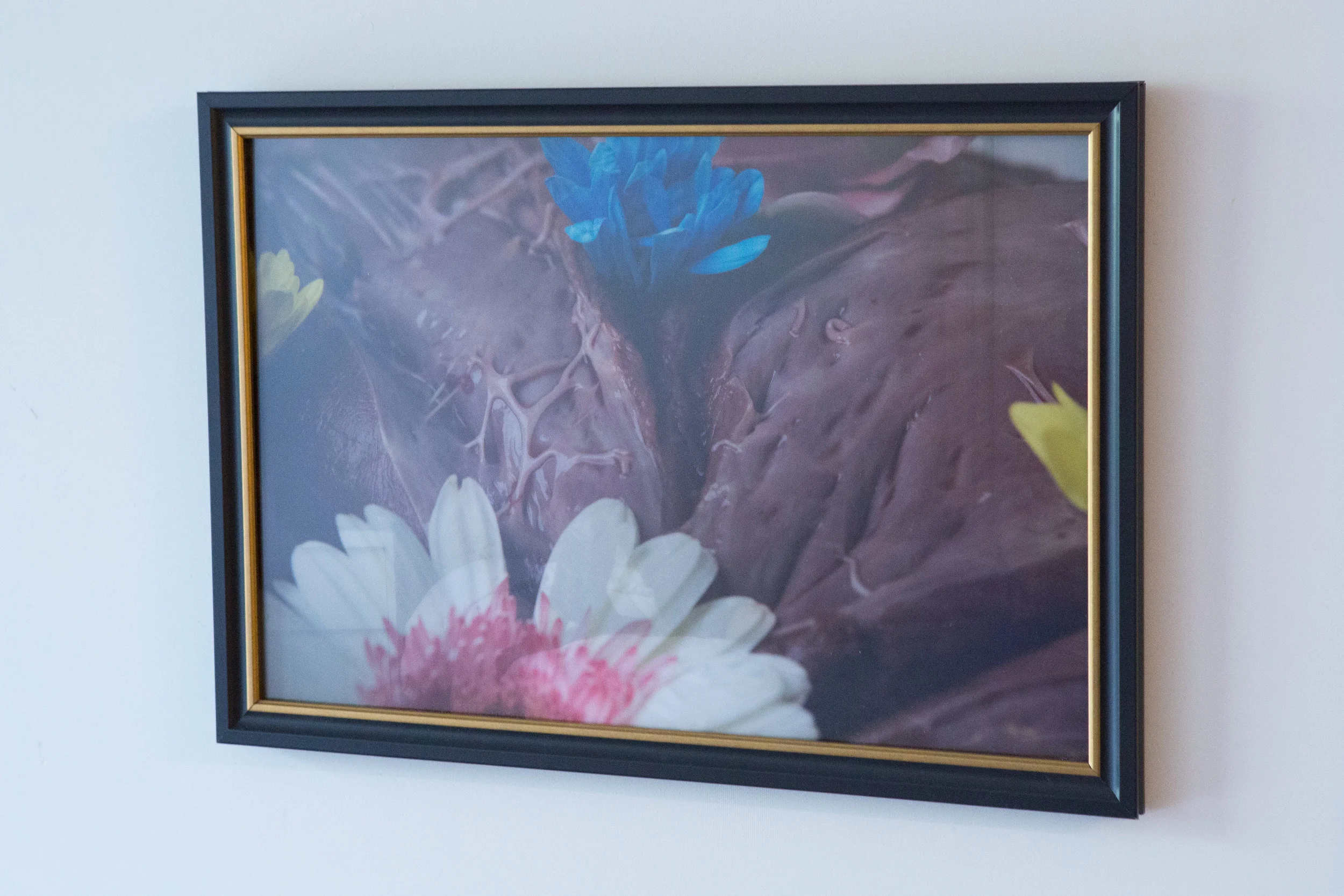 Rikki_2_lenticular_16x24_meat.jpg