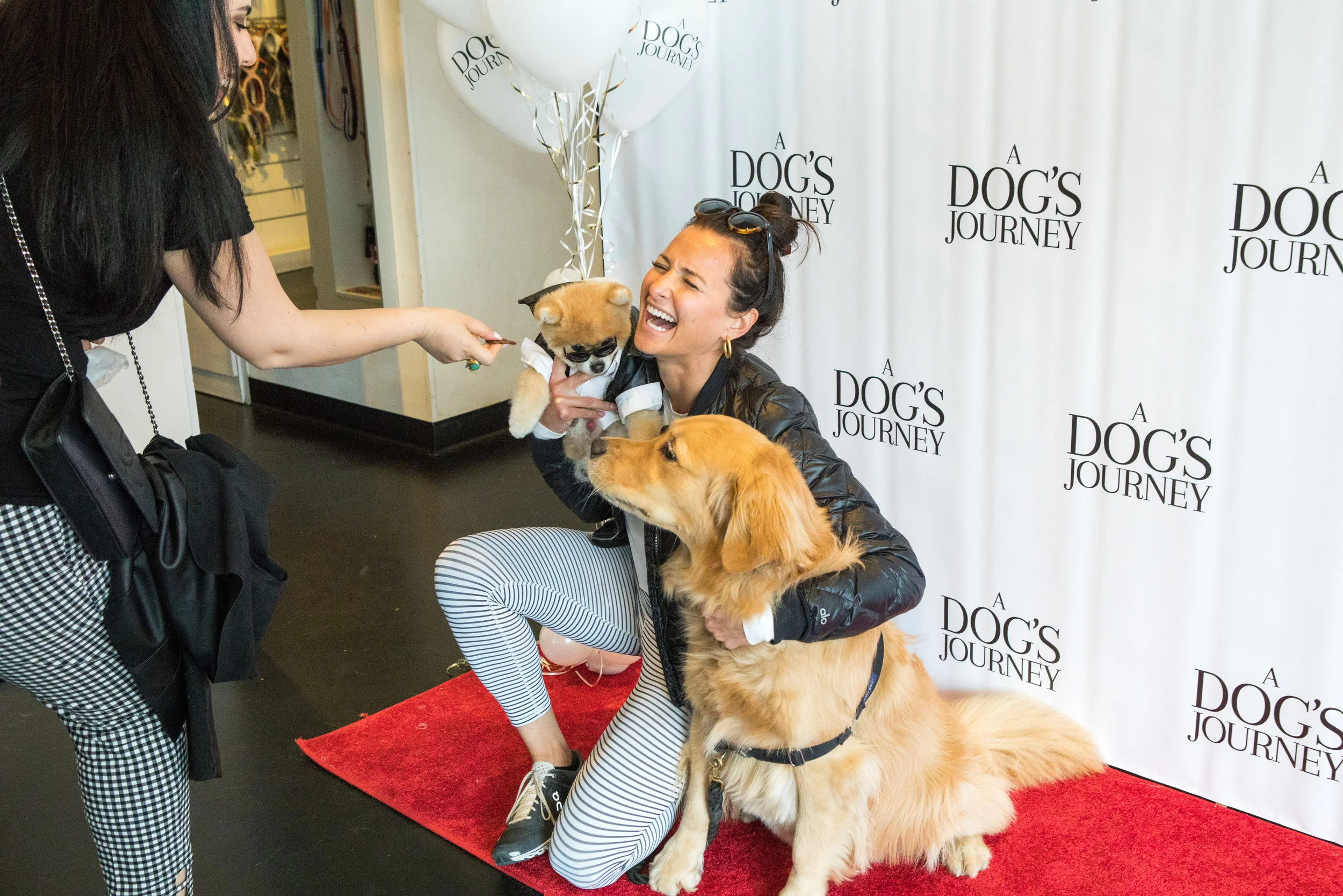 20190428_DogsJourney_Danielle Spires-8297.jpg