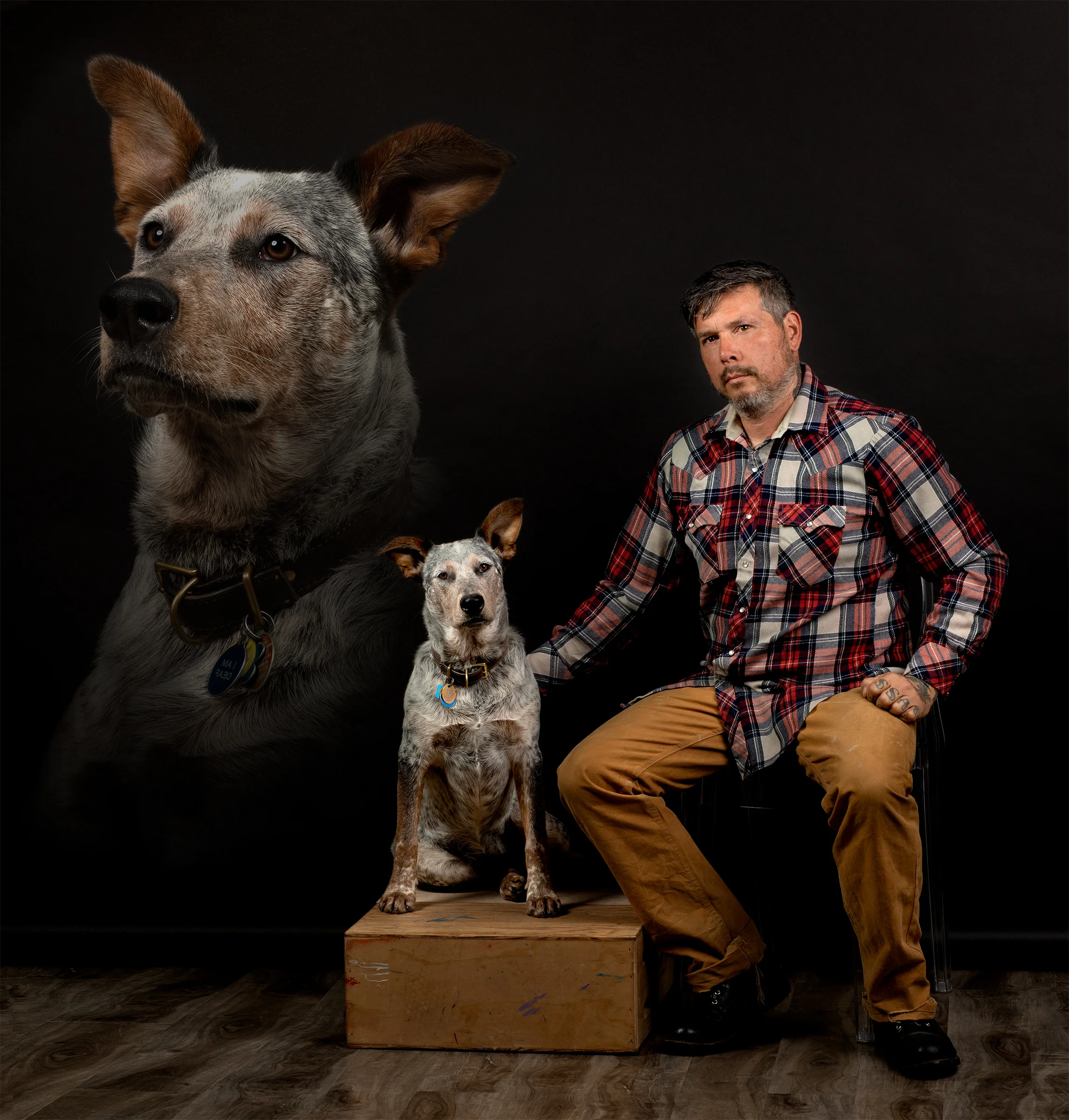 20190531_Pet Portrait_Danielle Spires-9417.jpg
