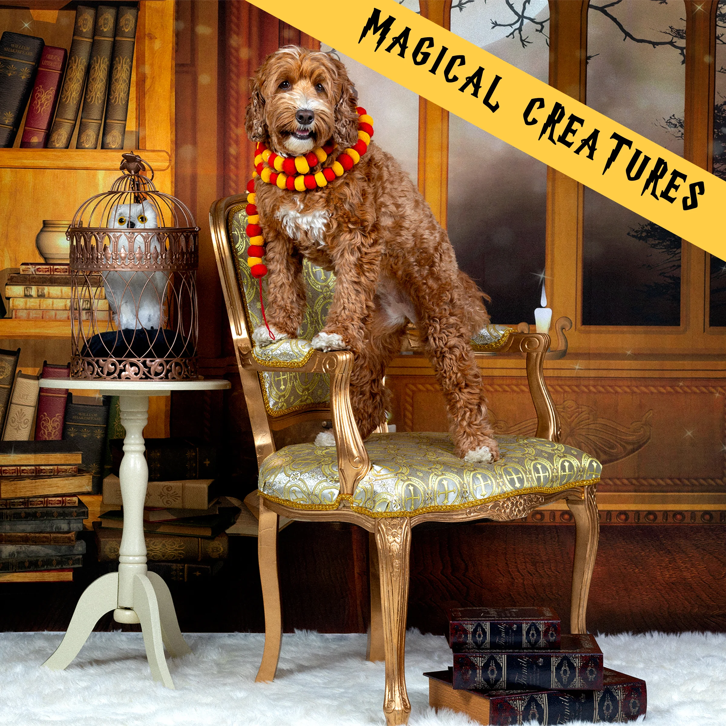 MAGICAL CREATURES ADD ON.jpg