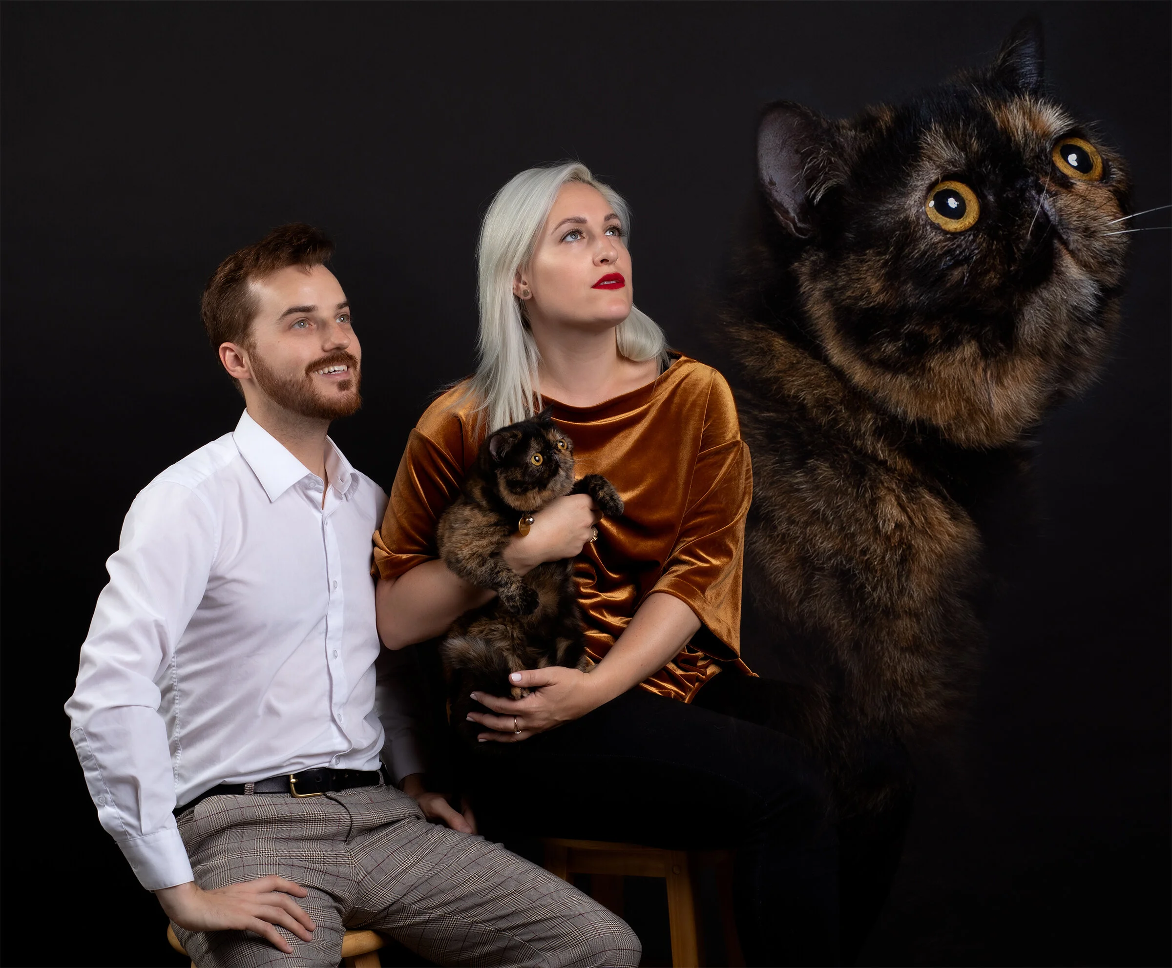 PET PORTRAIT PHOTOGRAPHY — Danielle Spires Photography