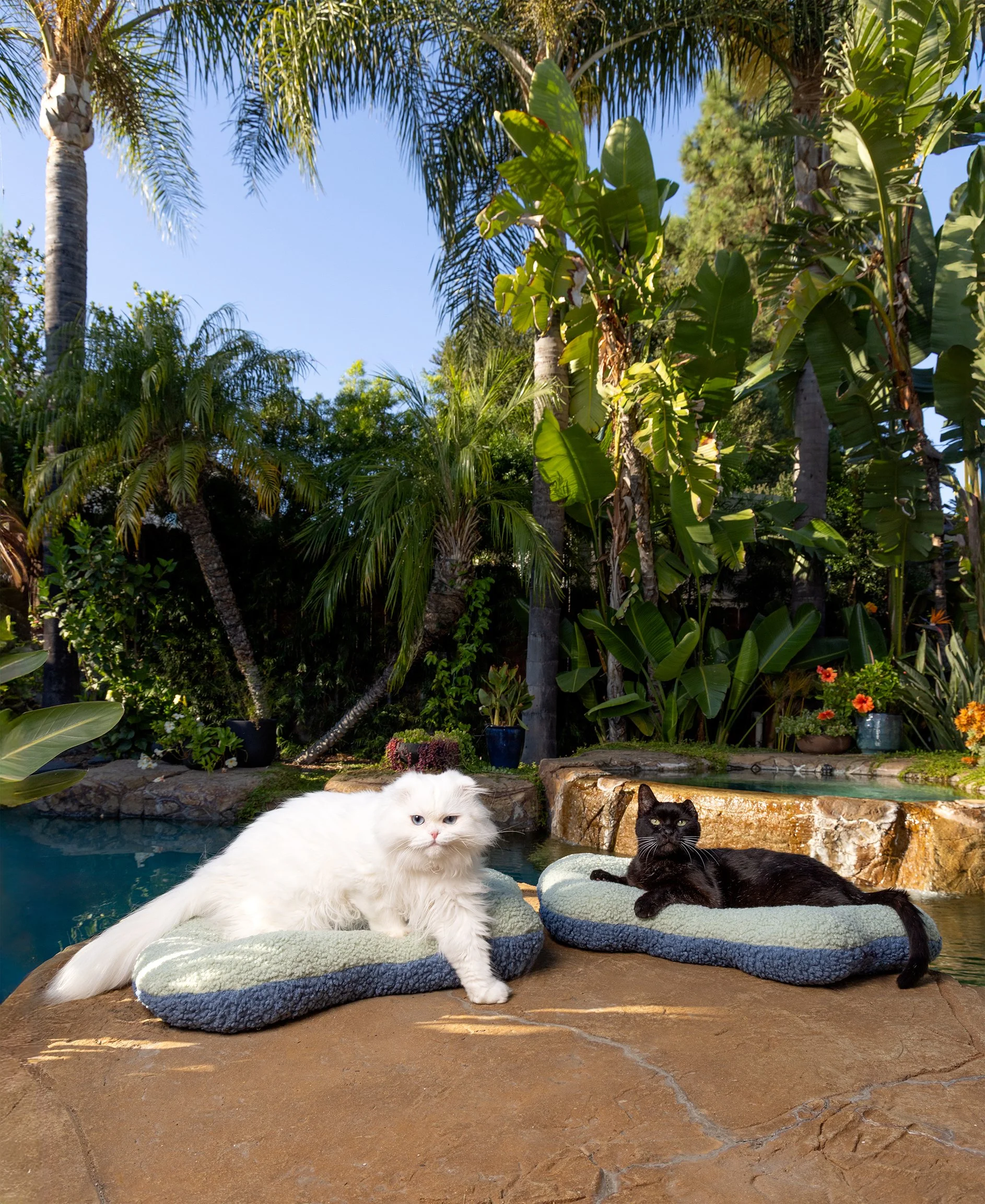 20251020_Wildcat Uno Ziggy-2498.jpg