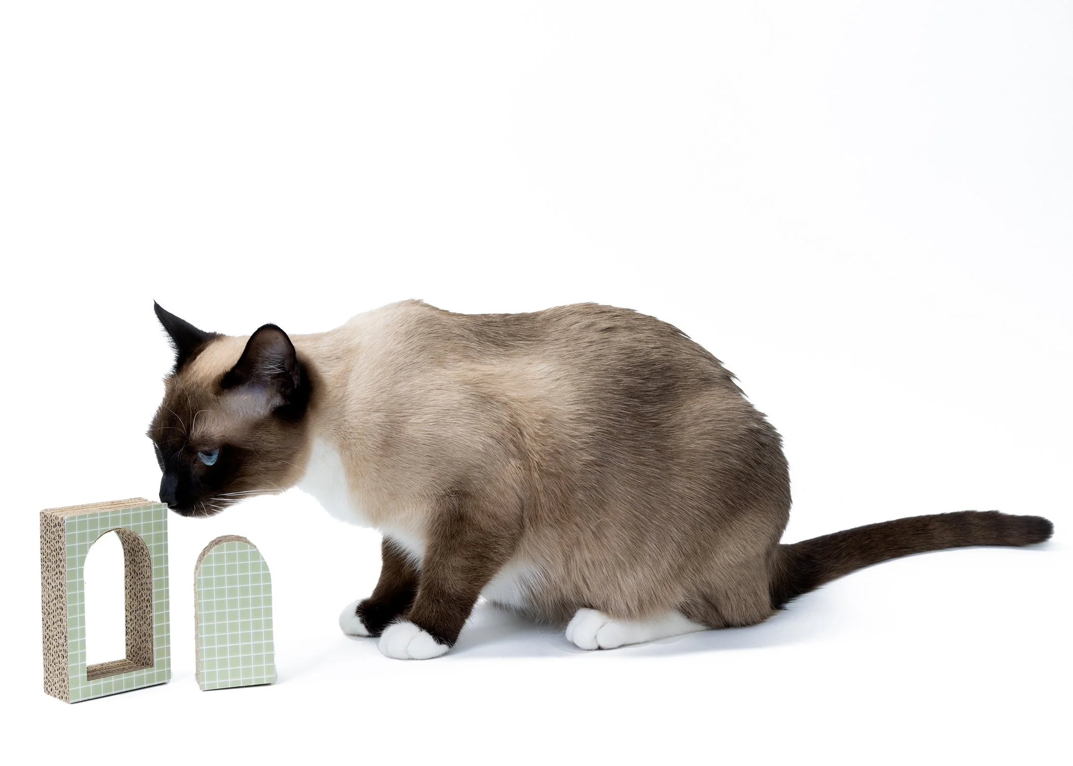 20221227_Francois-Danielle Spires-0545-Edit.jpg