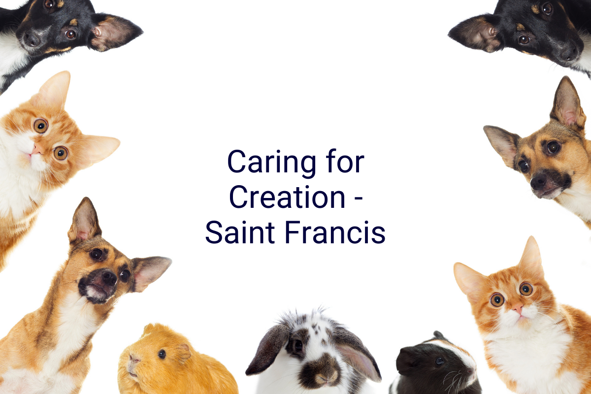 Caring For Creation - St. Francis of Assisi 