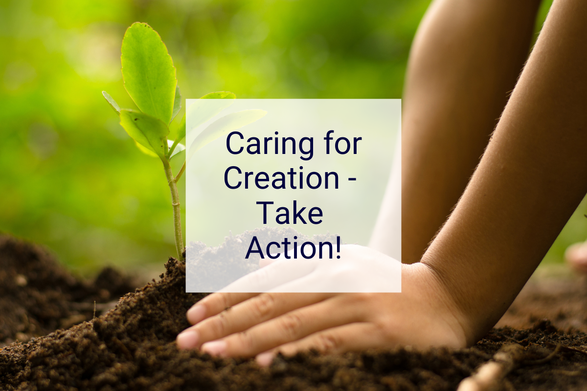 Caring for Creation - Take Action!