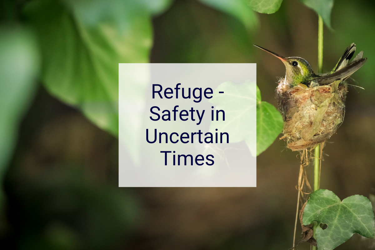 Refuge - Safety in Uncertain Times