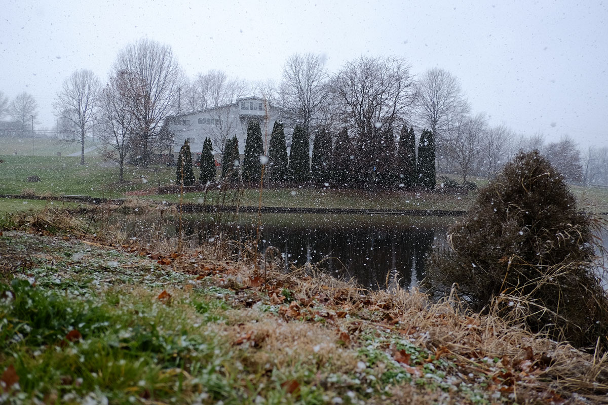 DSCF4477.jpg