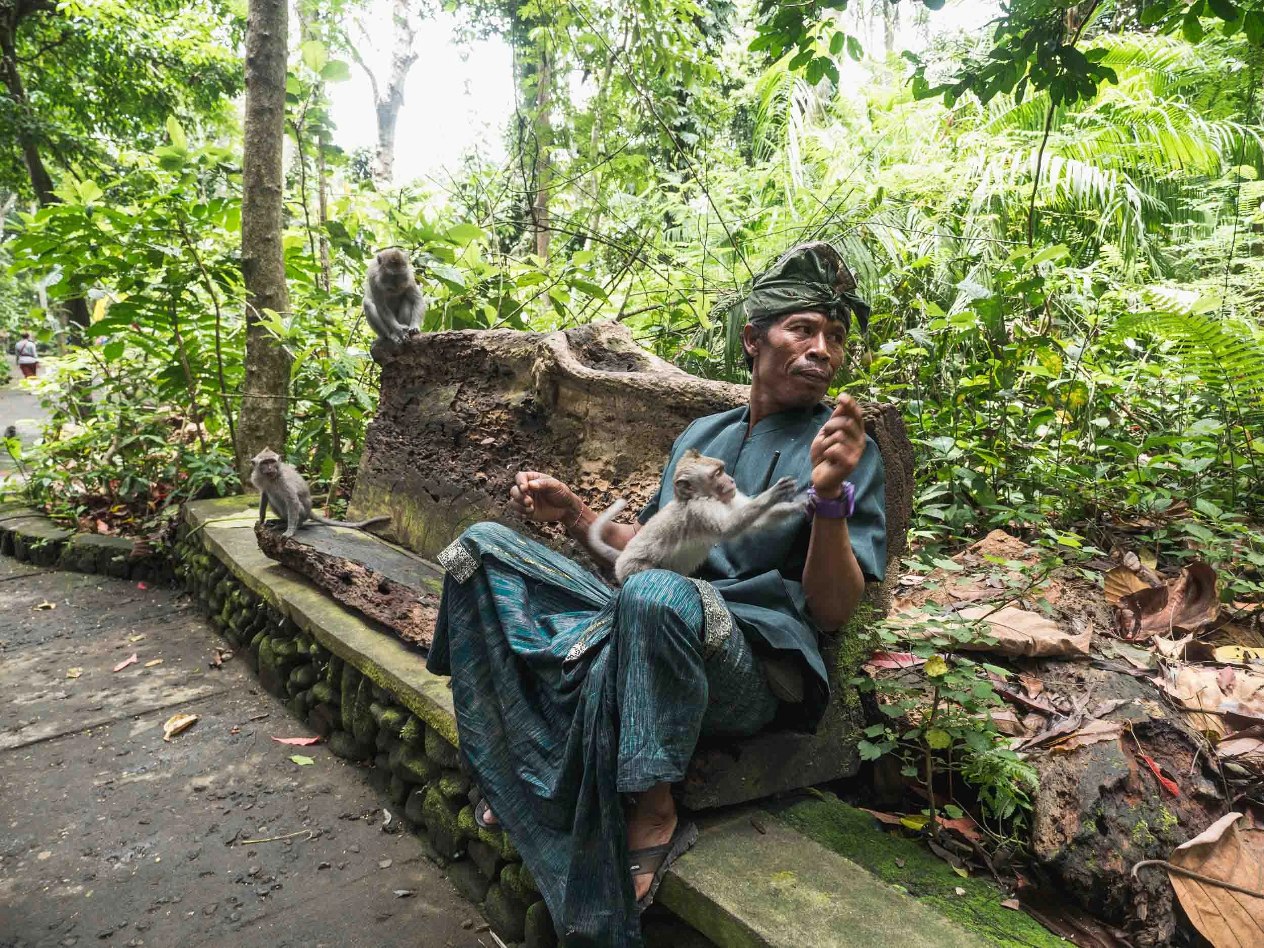 bali-3.jpg