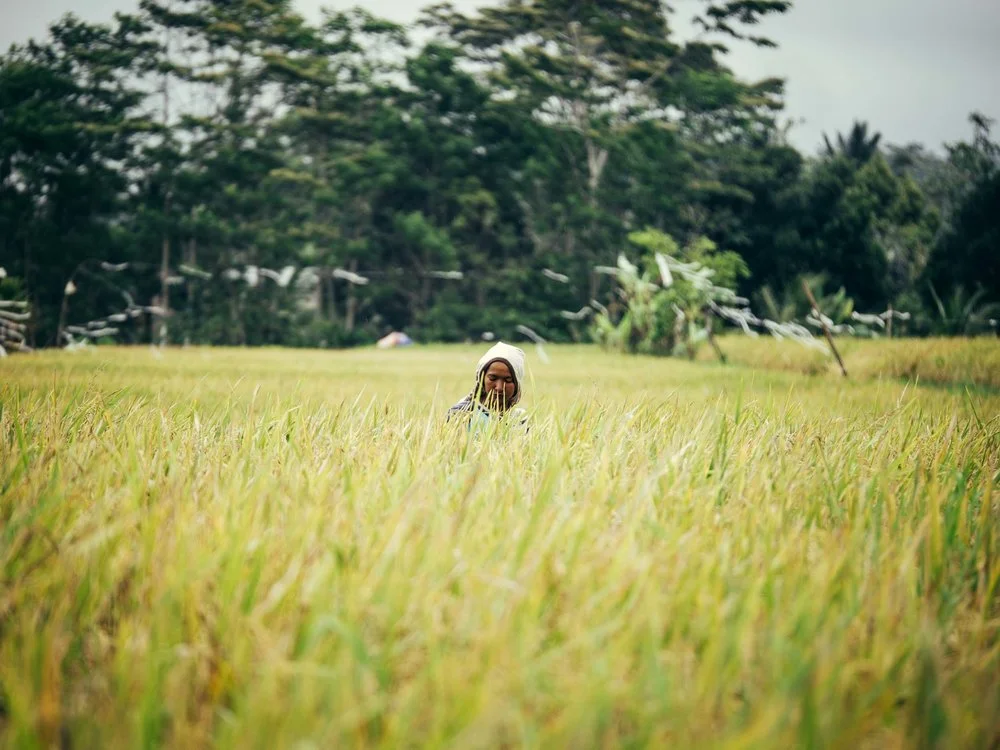 Bali