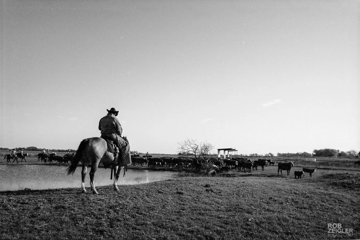Texas_RoundUp_025.jpg