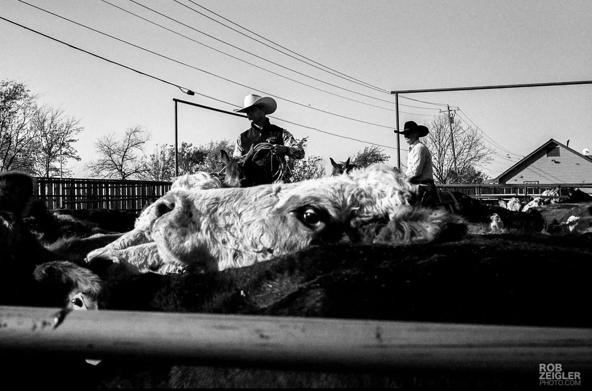 Texas_RoundUp_056.jpg