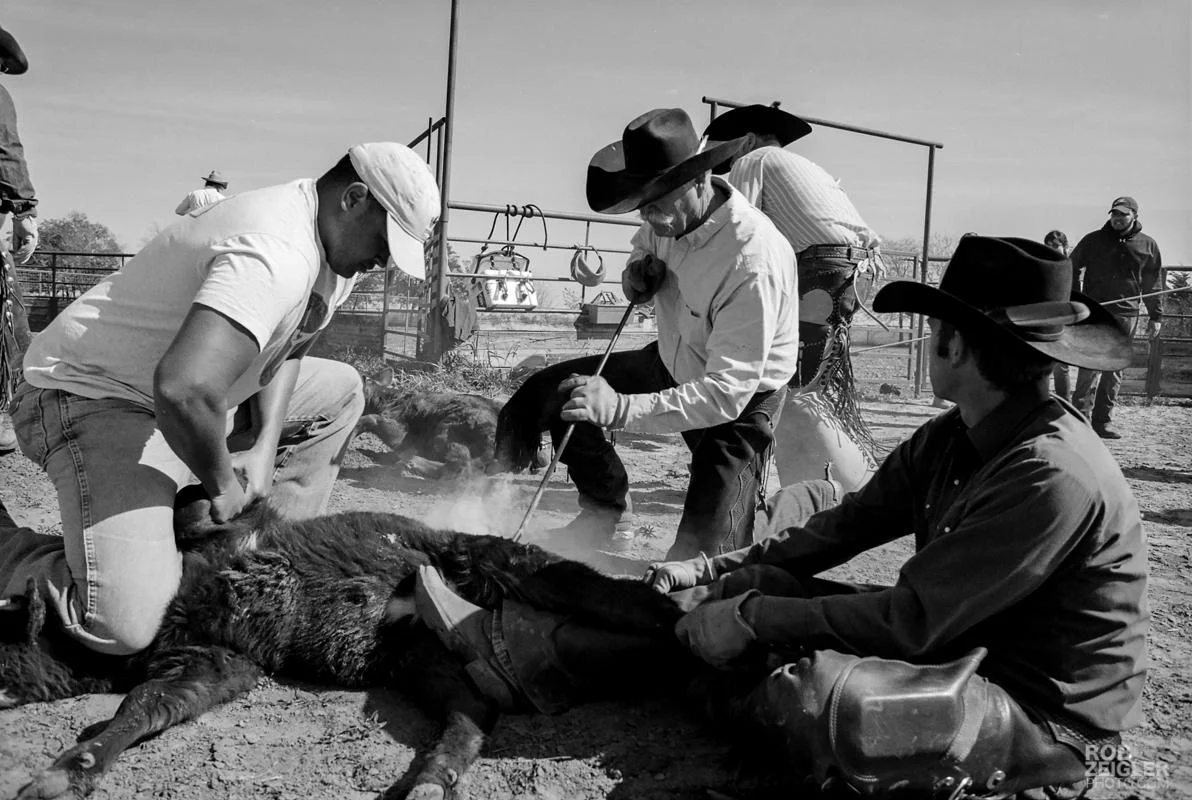 Texas_RoundUp_137.jpg