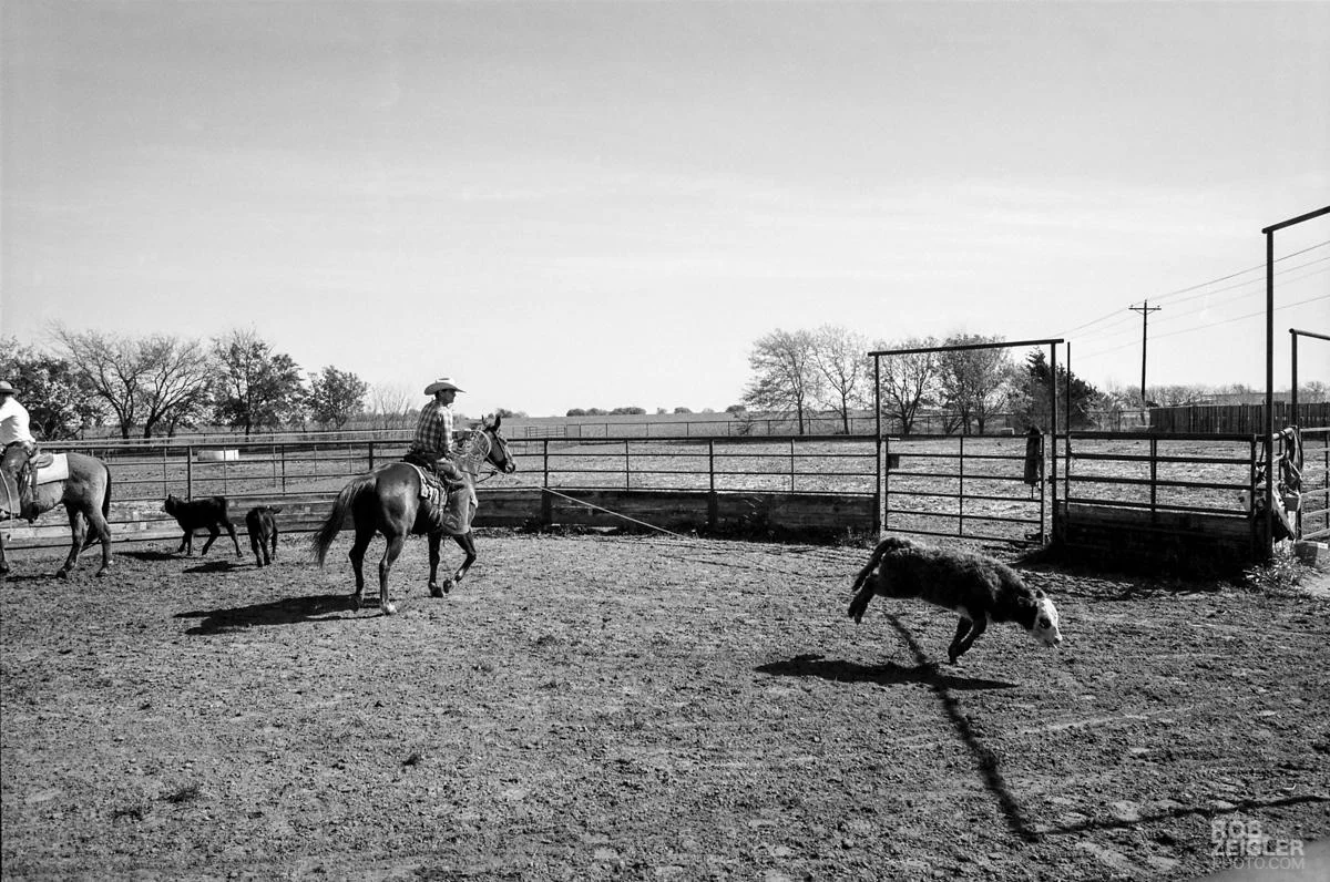 Texas_RoundUp_128.jpg