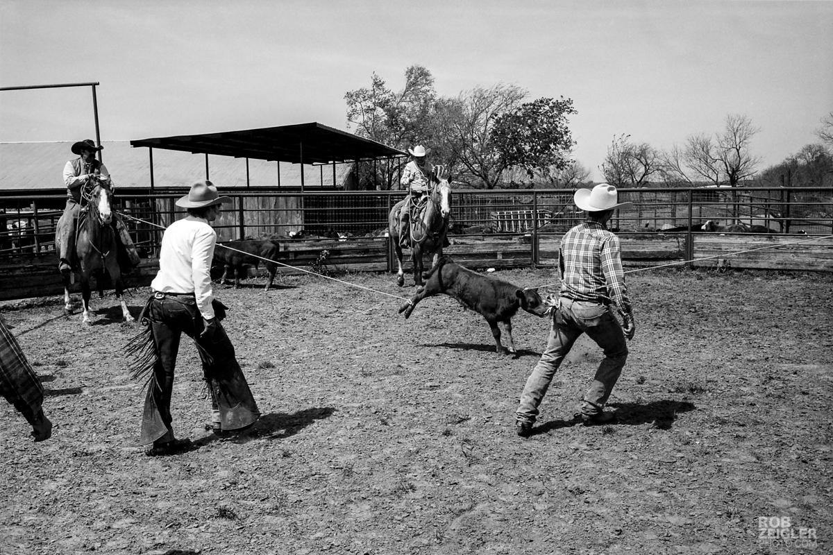 Texas_RoundUp_180.jpg
