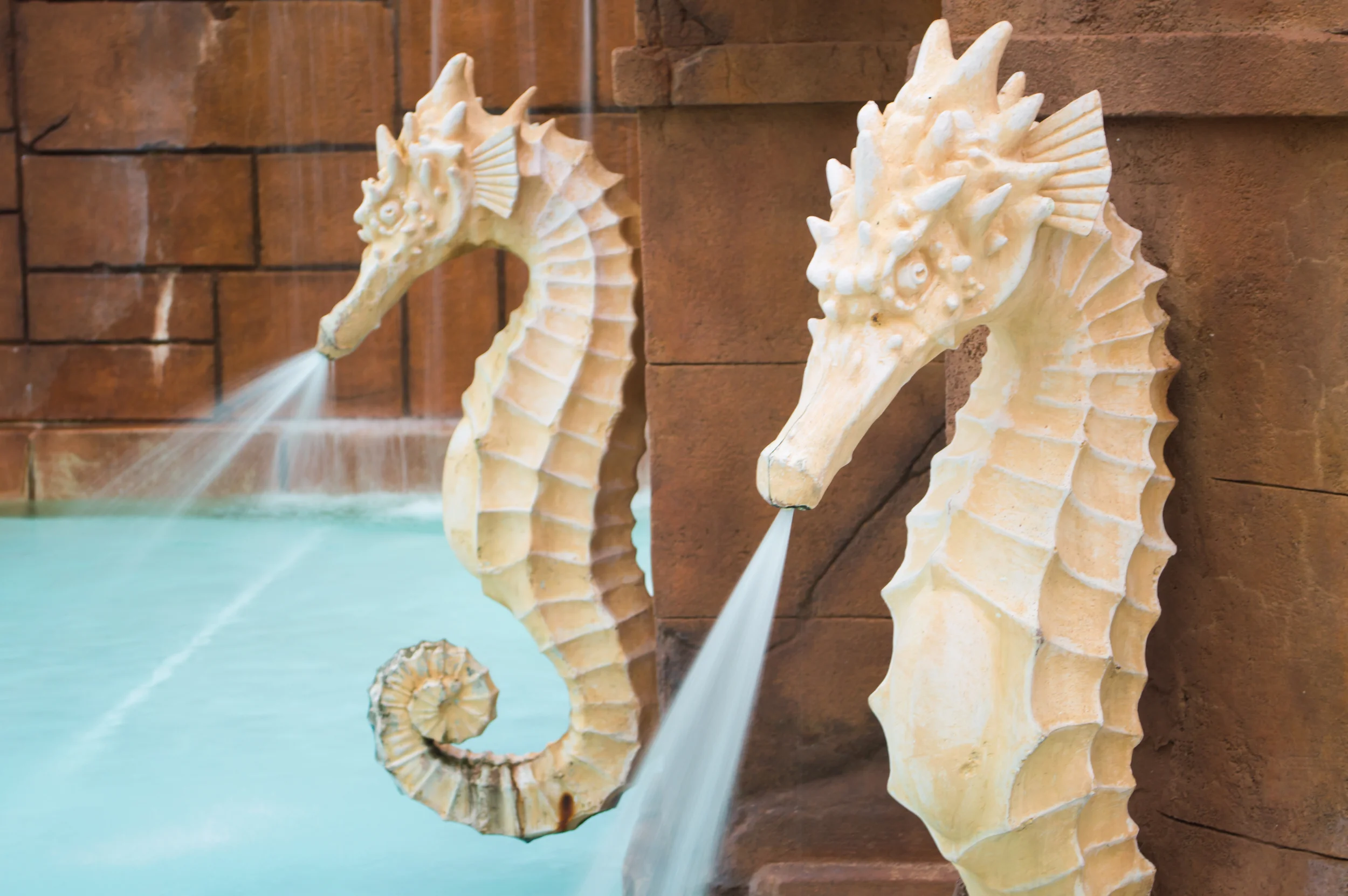 Pair of poolside stoen seahorse fountains