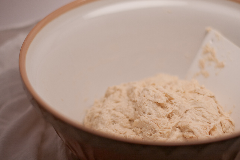 Starter, flour, water, & salt. Before its first rest, right after mixing