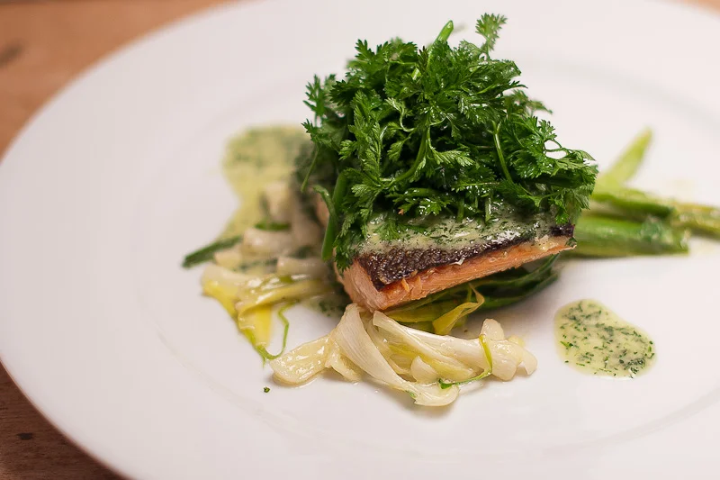 Salmon-3027-2.jpg