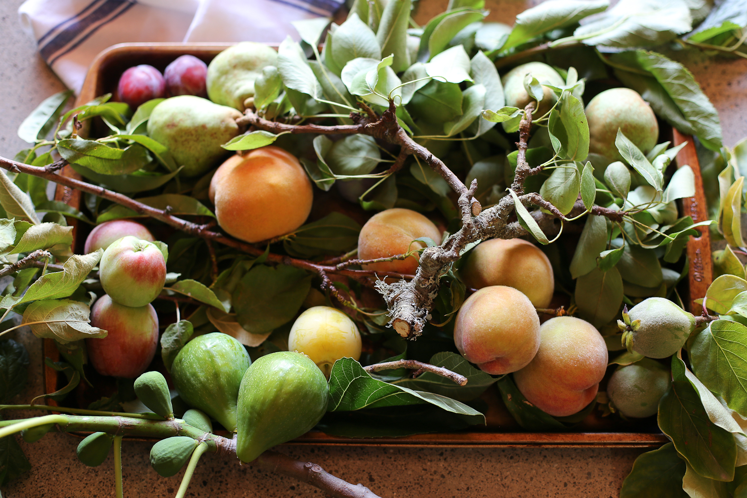 Savor The Bounty...