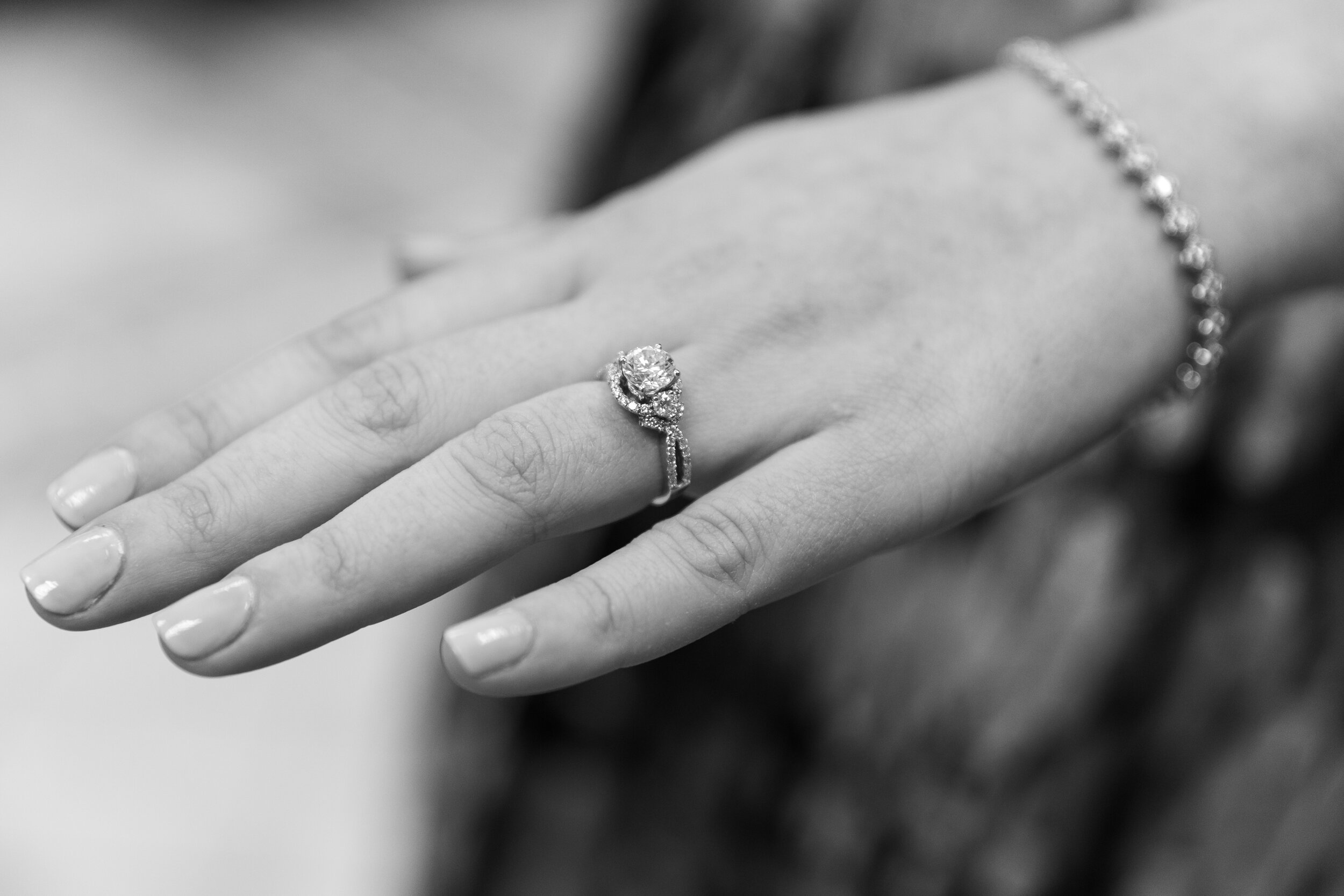 Engagement Parties — Weintraub Studios