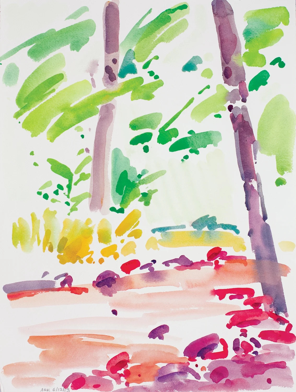 Dunnfield-Creek-61213-16x12