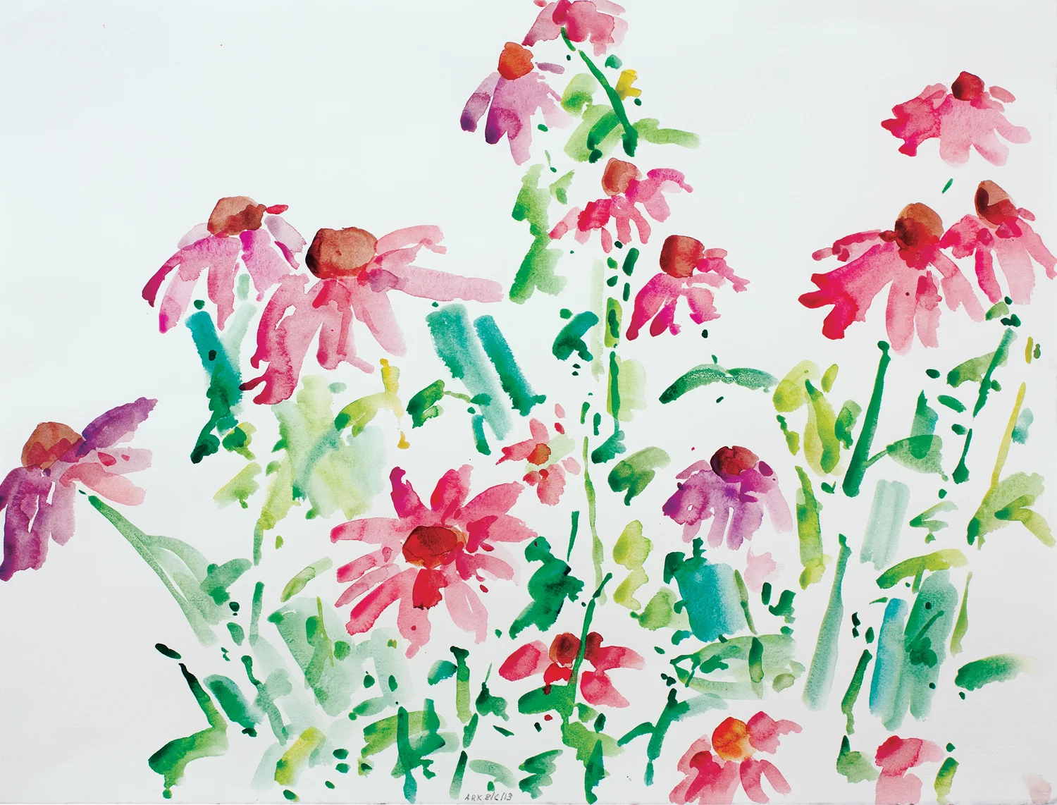 Echinacea-8613-22x30