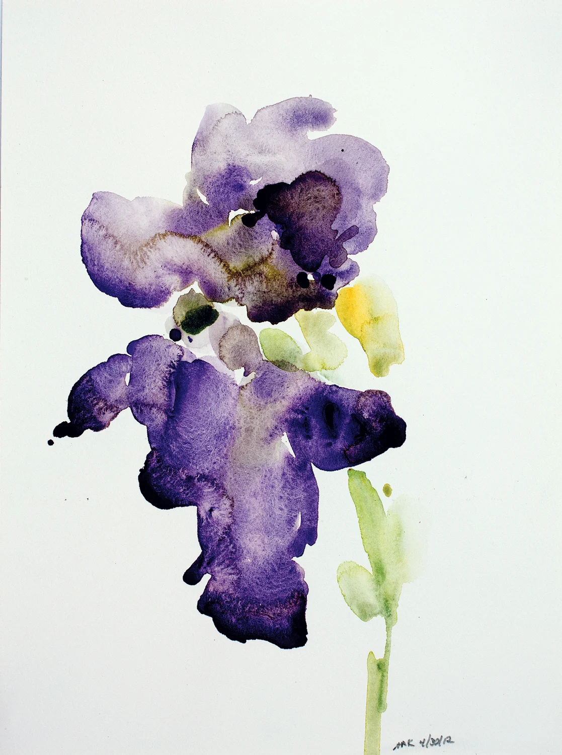 Iris-43012-12x10_1