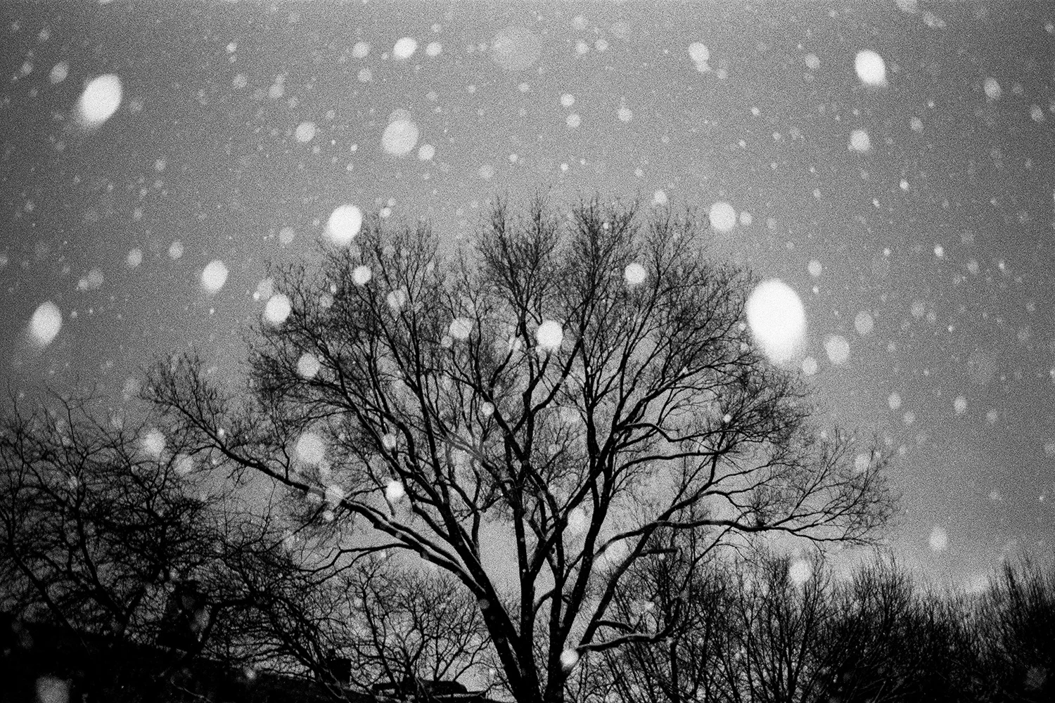 Brooklyn-snowglobe-sm.jpg