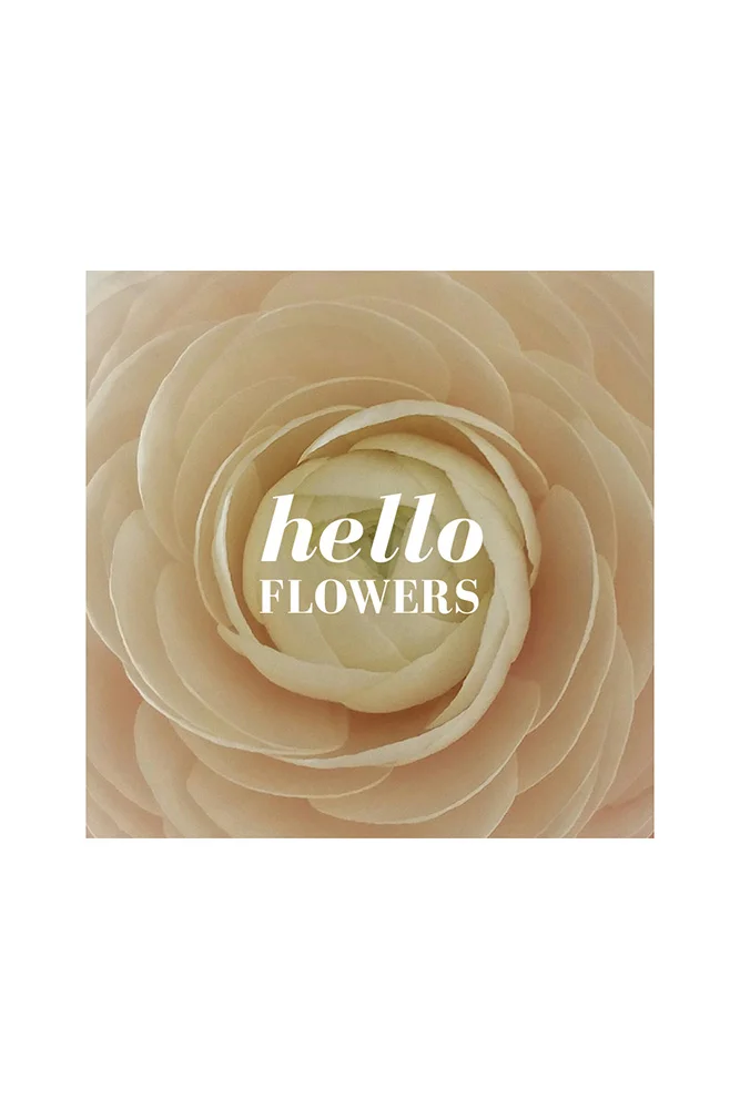 Hello-Flowers-front.jpg