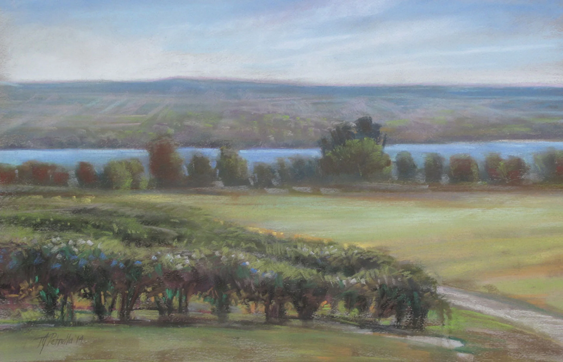 FingerLakesVineyard.jpg