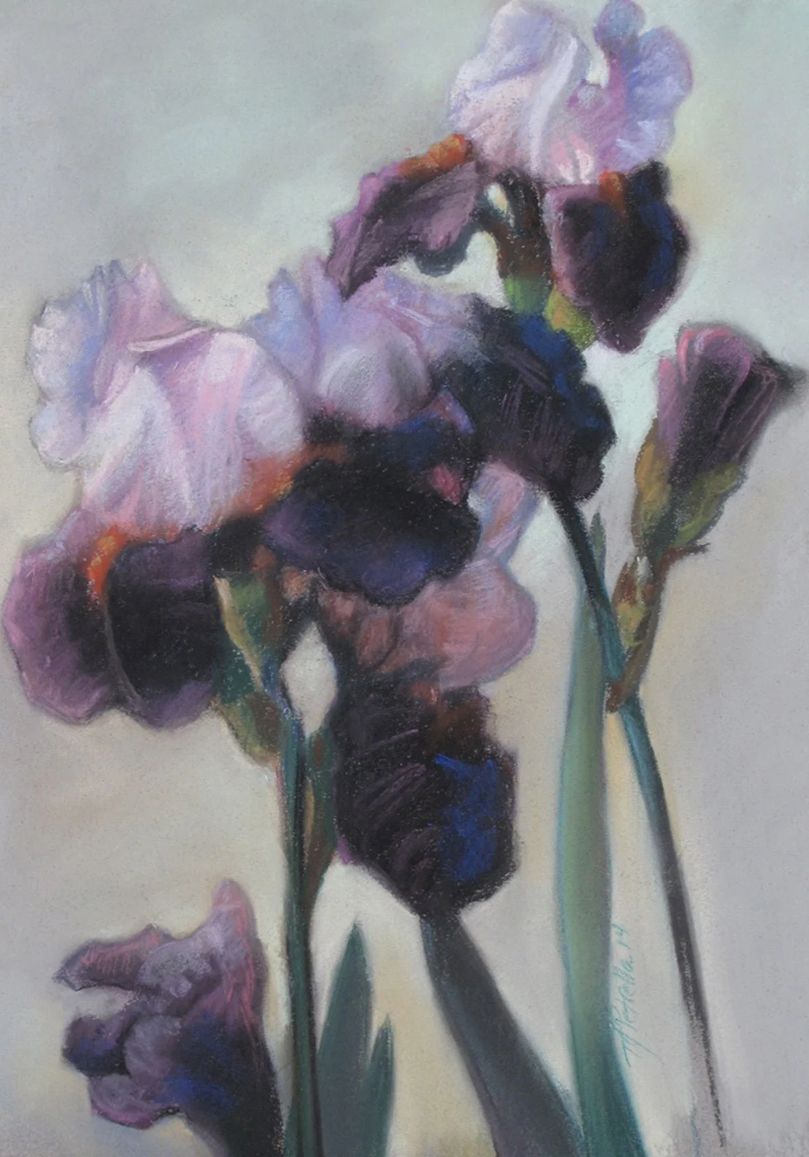 Irises.jpg