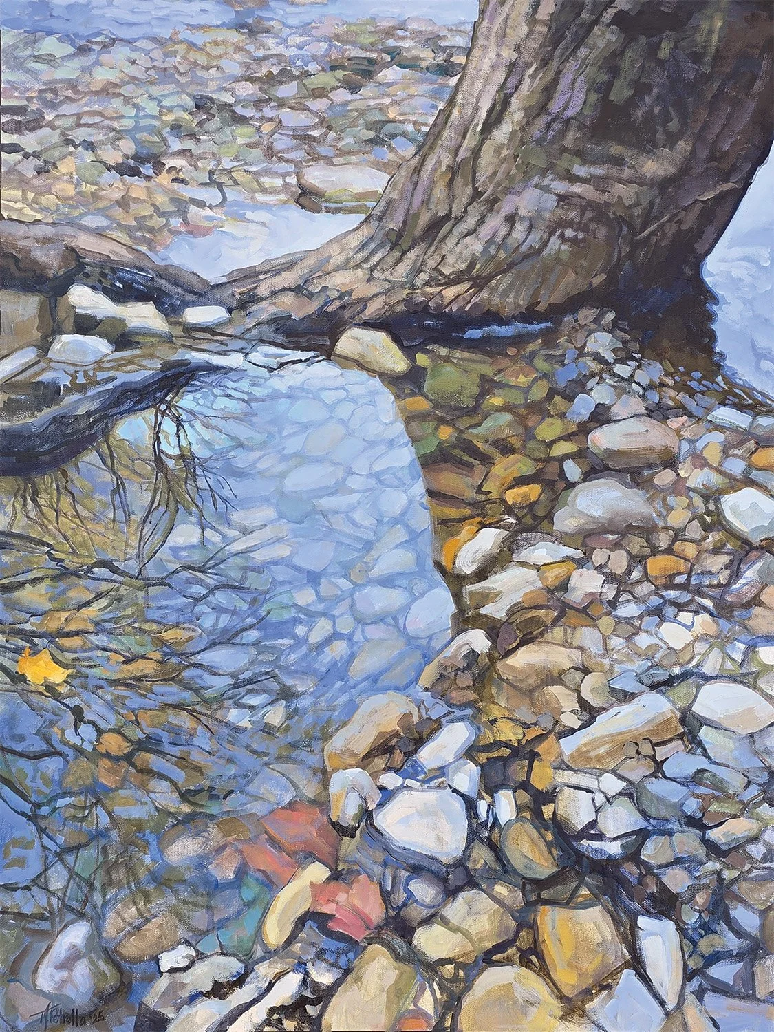 River Tree.jpg