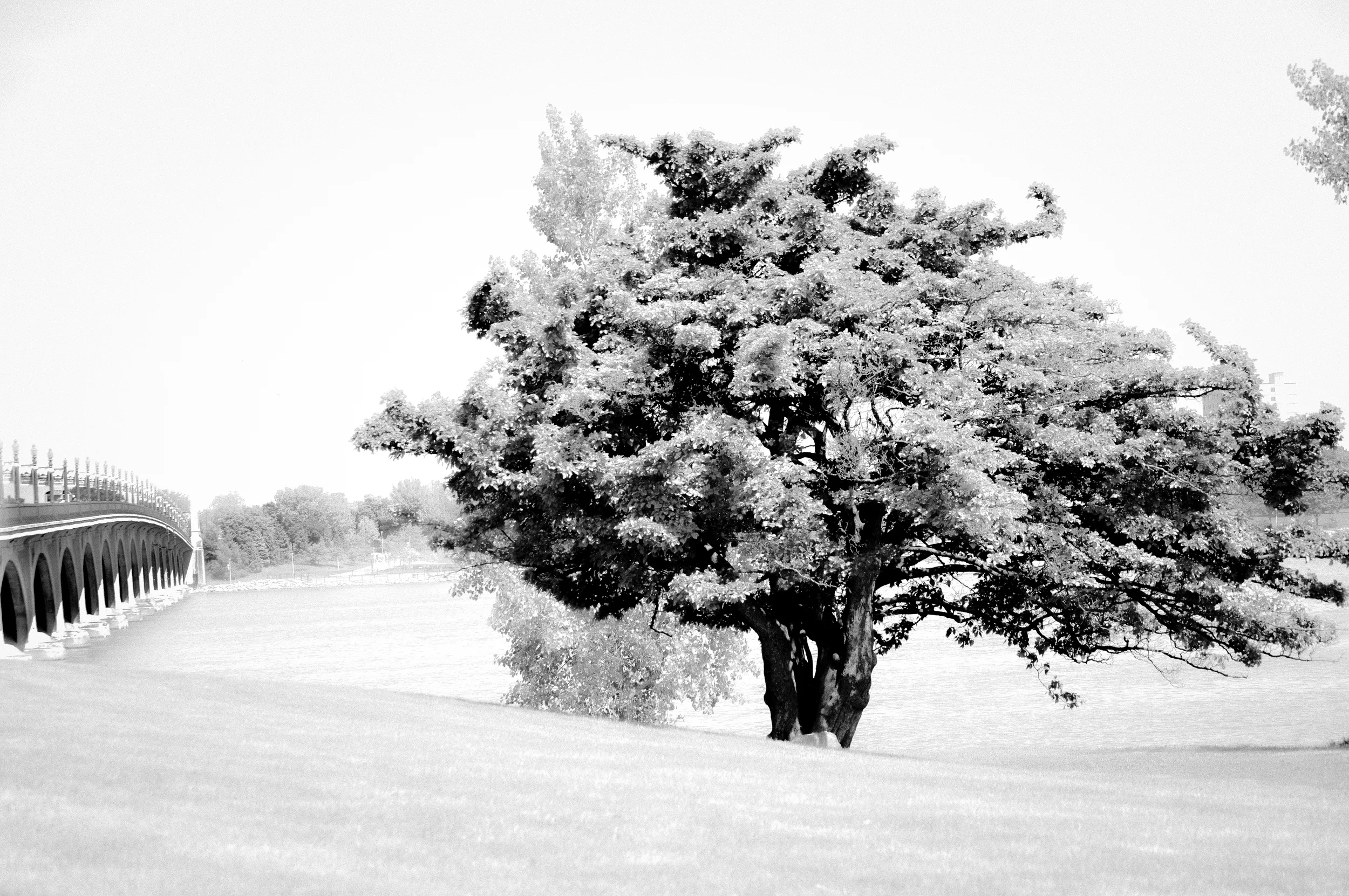DSC_1462.jpg