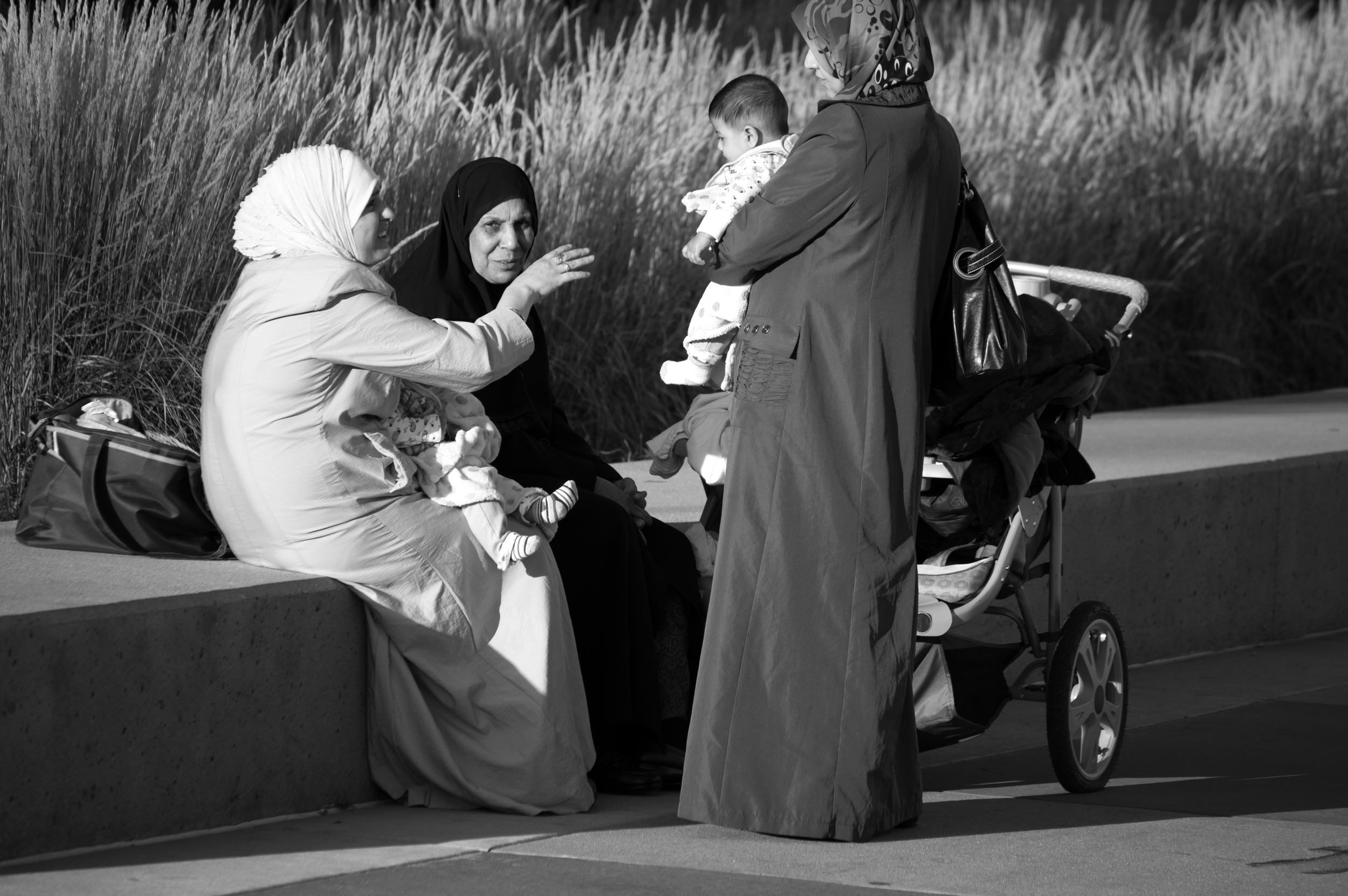 DSC_2530 - Copy.jpg
