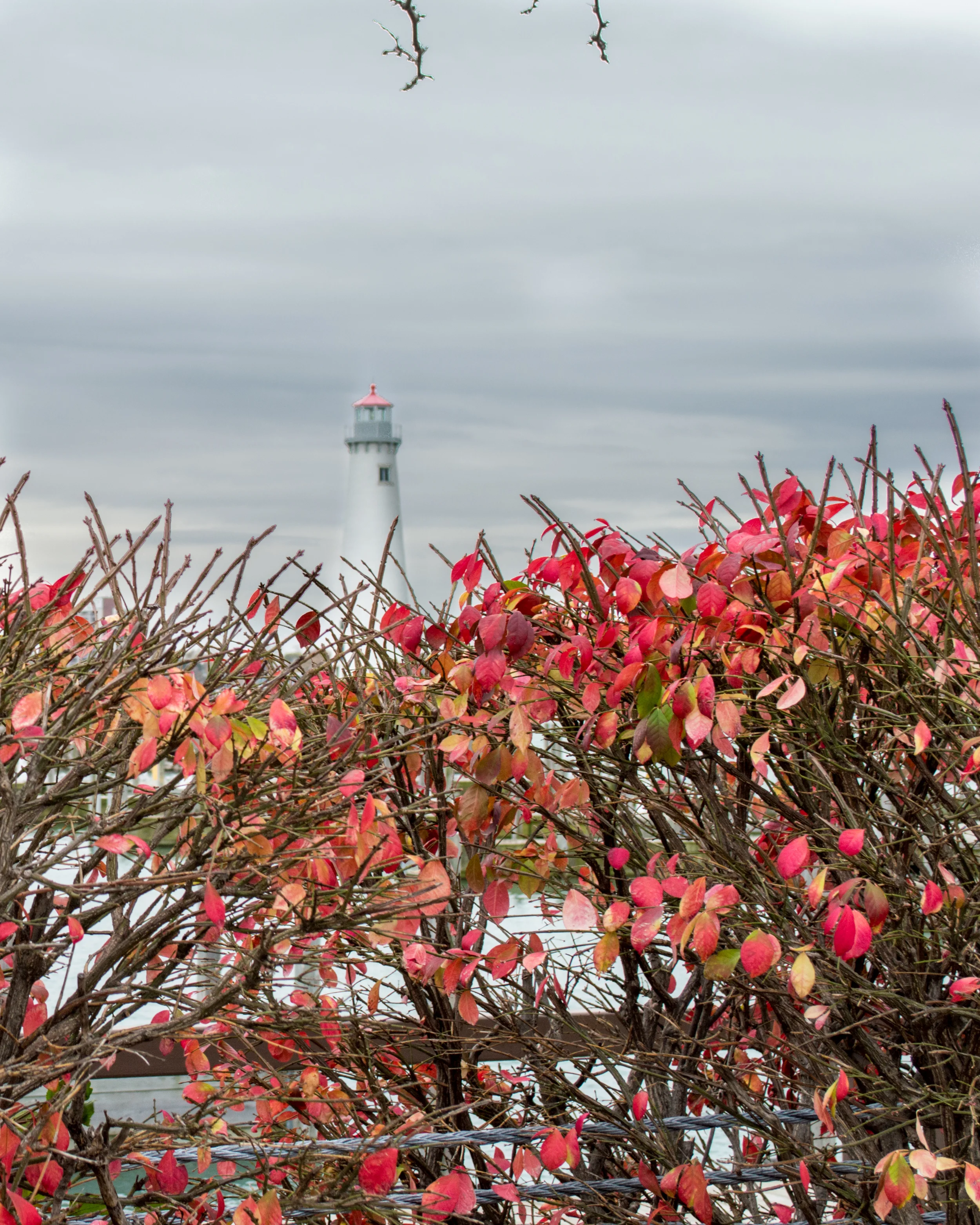 DSC_2926.jpg