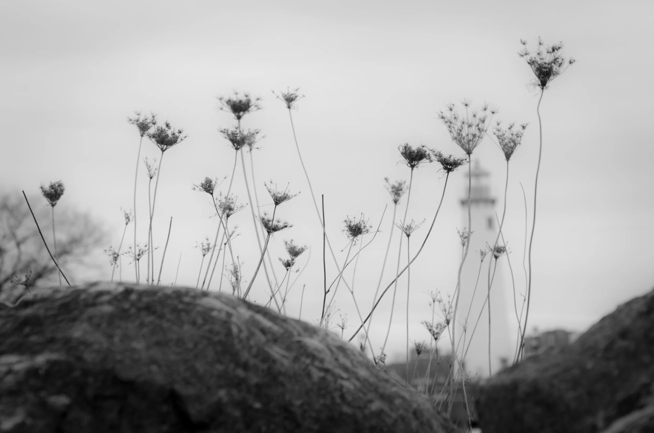 untitled-8pw316.jpg