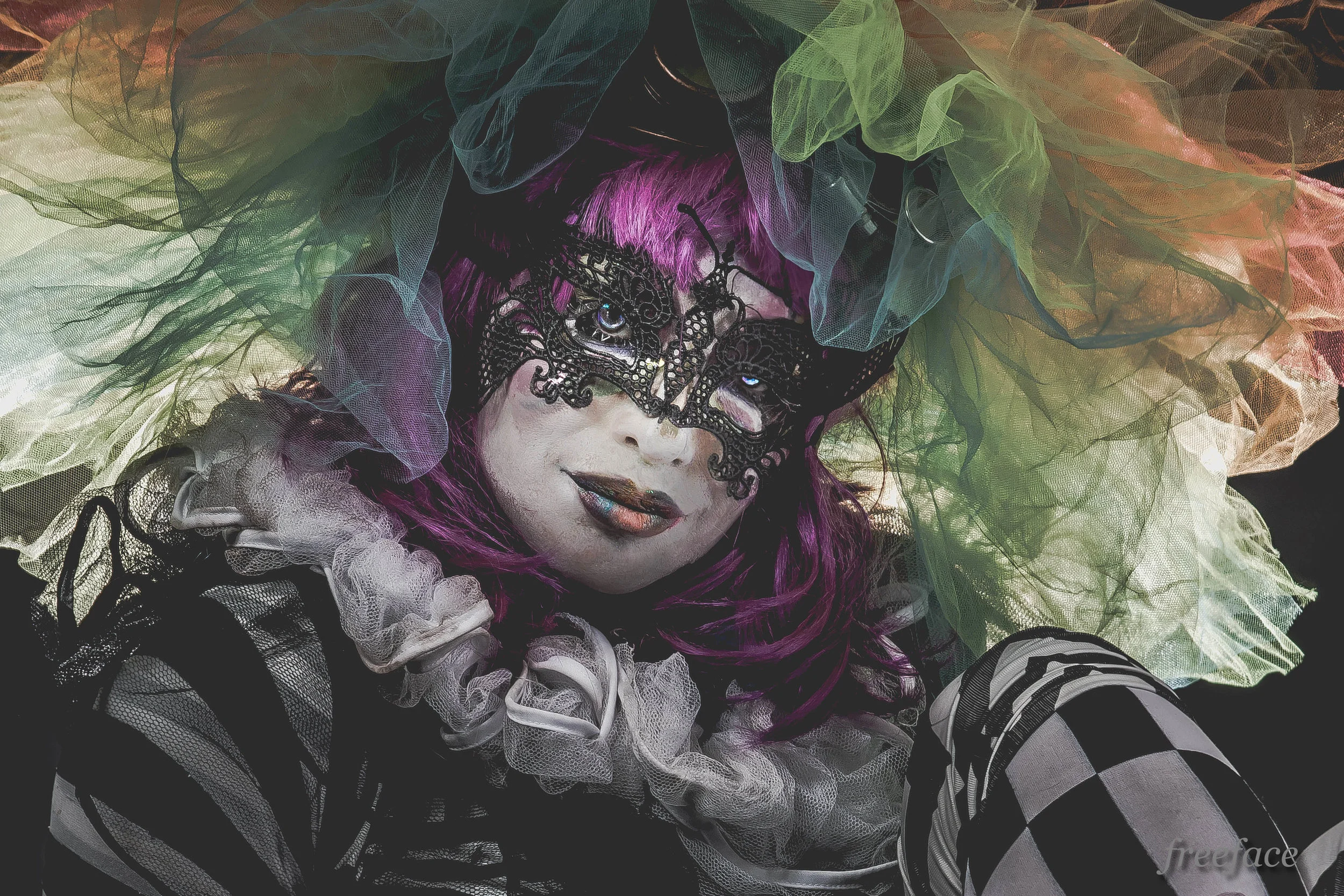 Annclown-7075-2.jpg
