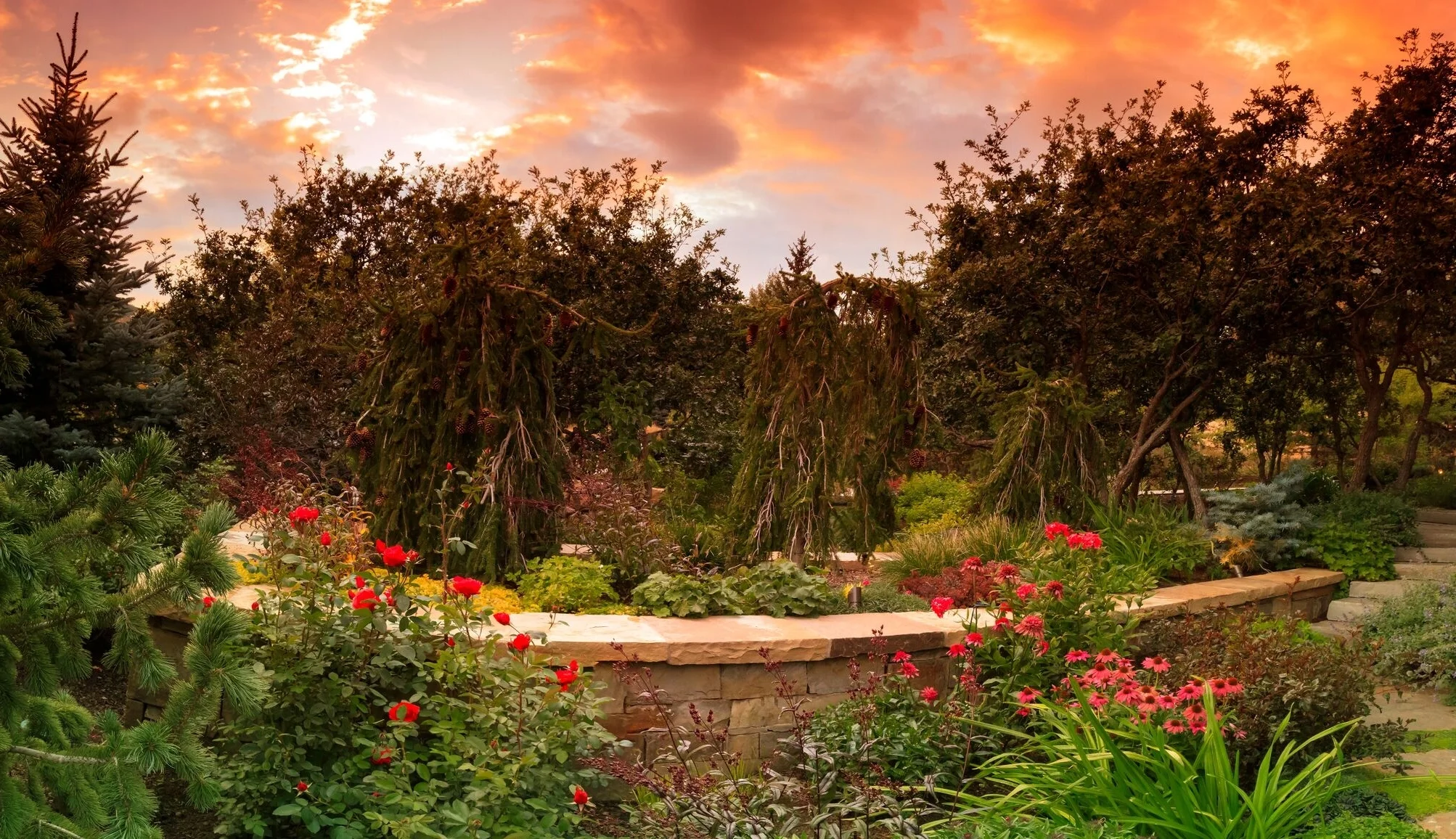 Garden 1.jpg