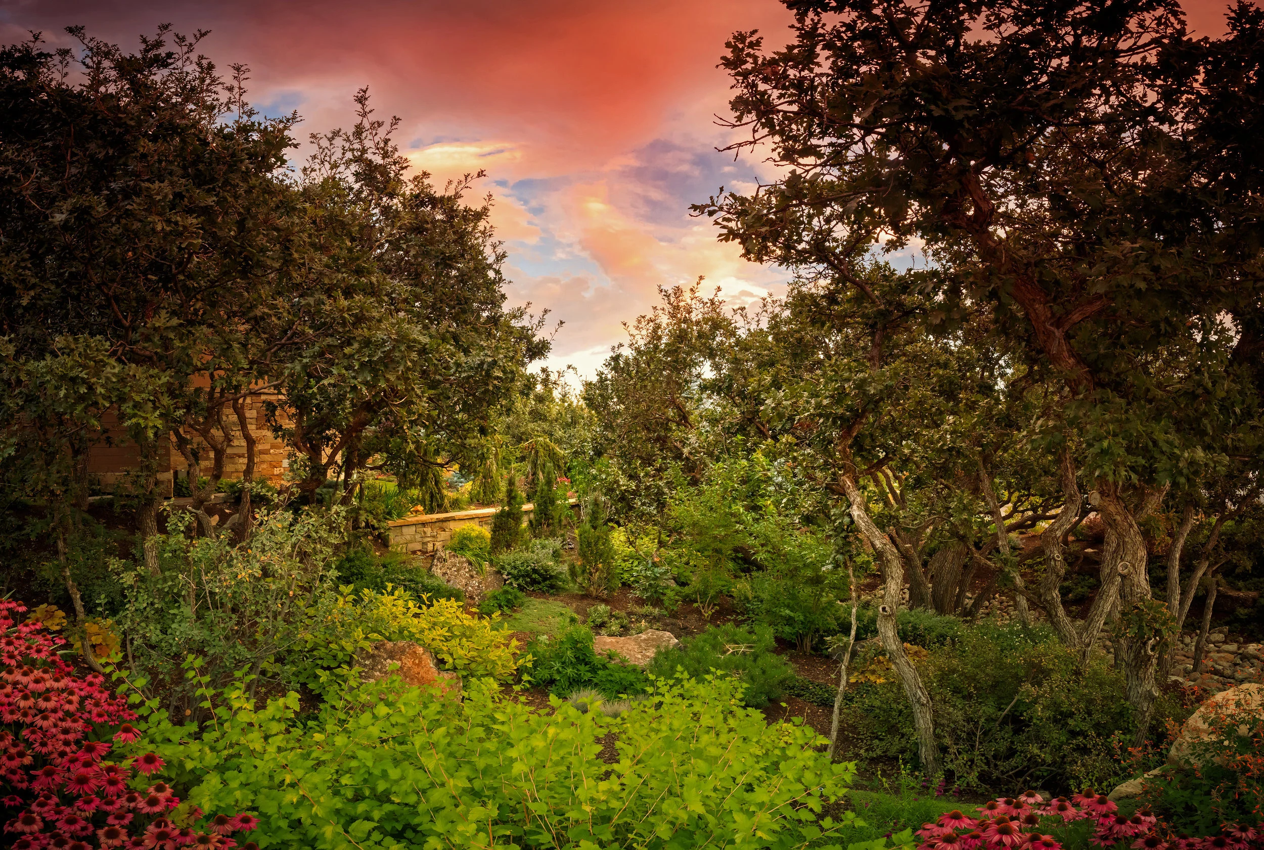 0A3A7160-Pano-1+copy (1).jpg
