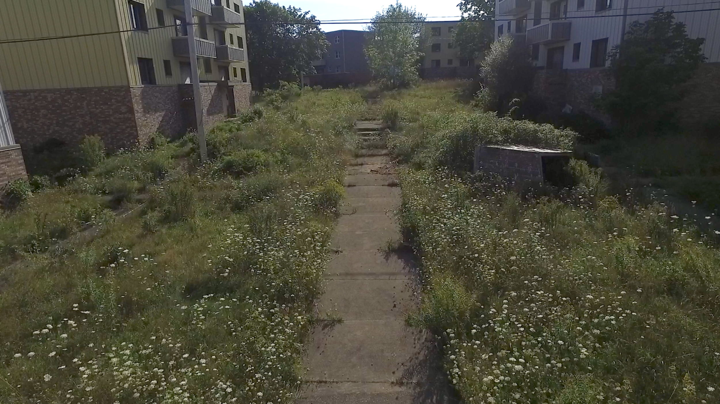 One of the many walking paths connection each area of the community.