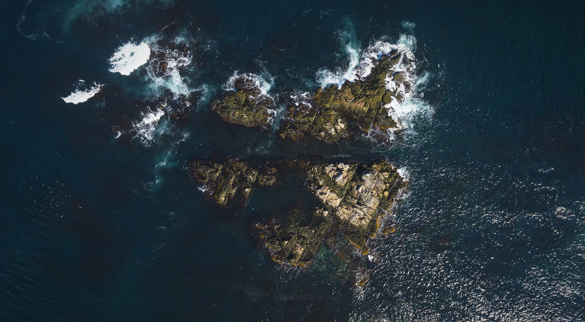 duncans cove seal island.jpg