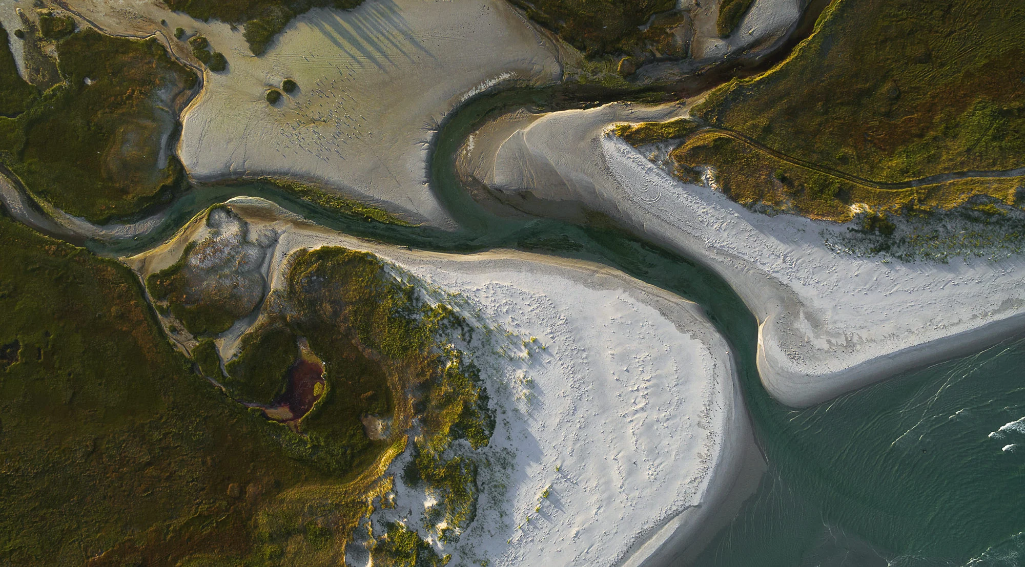 River cape sable from drone.jpg