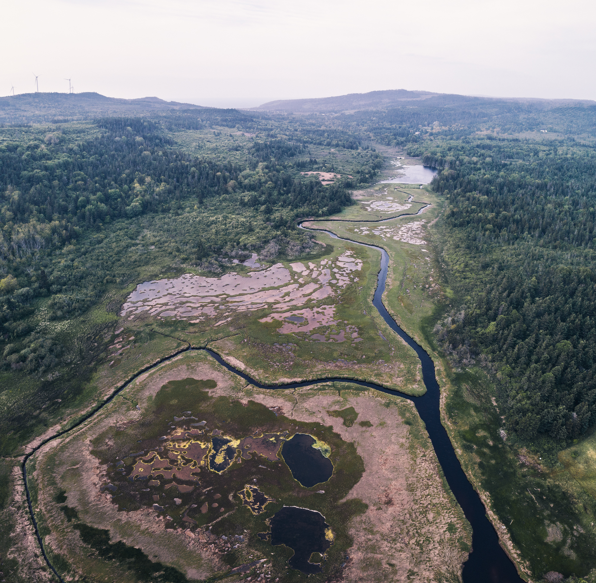 DJI_0282-Pano-Edit-2.jpg