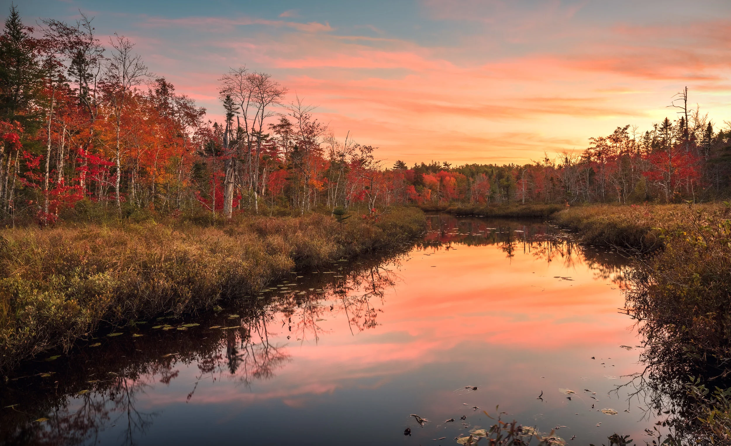 _DSC0126-HDR-Edit.jpg
